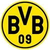 Logo BVB | IKC Home