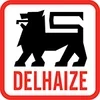Logo Delhaize | IKC Home