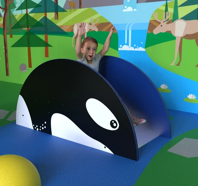 This image shows a play system orca slide